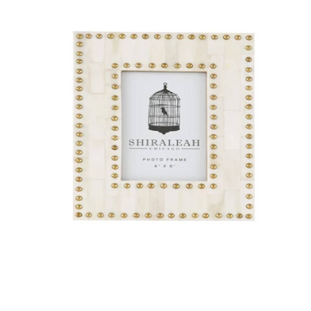 Studded 4x6 Picture Frame